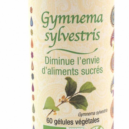 Gymnema sylvestris