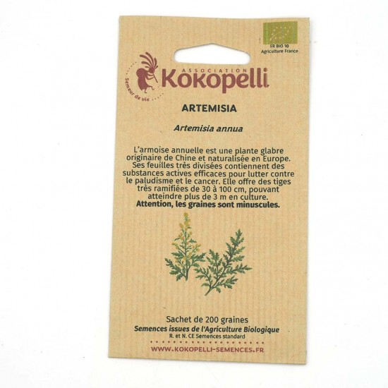Artemisia annua - Graines