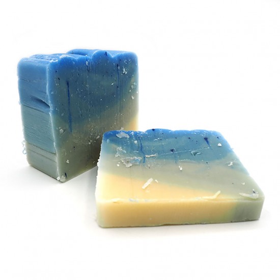 Savon Le Favori - pain de 100g