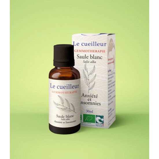 Bourgeons de SAULE BIO