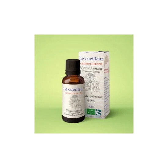 Bourgeons de Viorne Lantane...