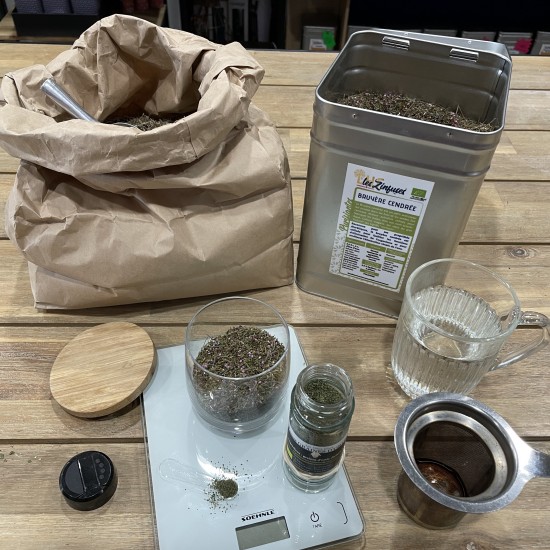 ATELIER Les plantes de la...