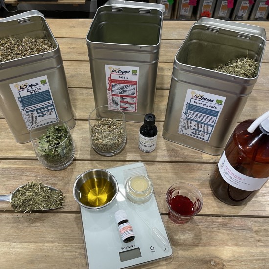 ATELIER Les plantes de...