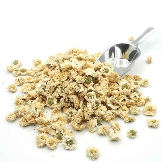 Camomille romaine