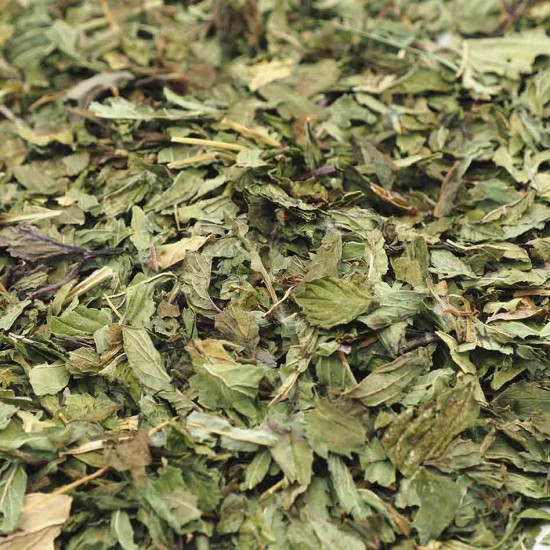 Menthe poivrée