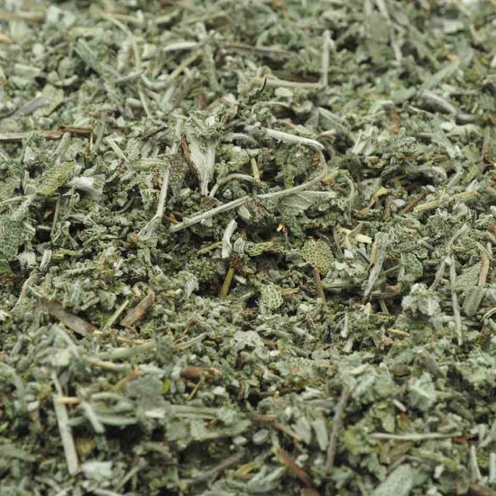 Sauge officinale feuilles...