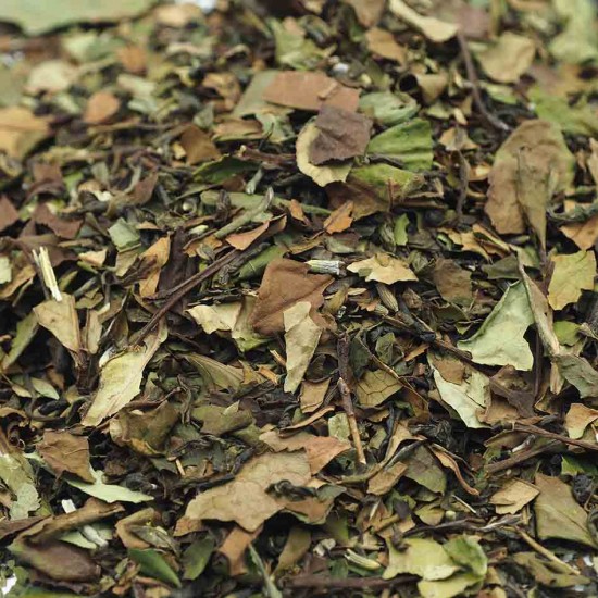 Thé blanc Après la pluie