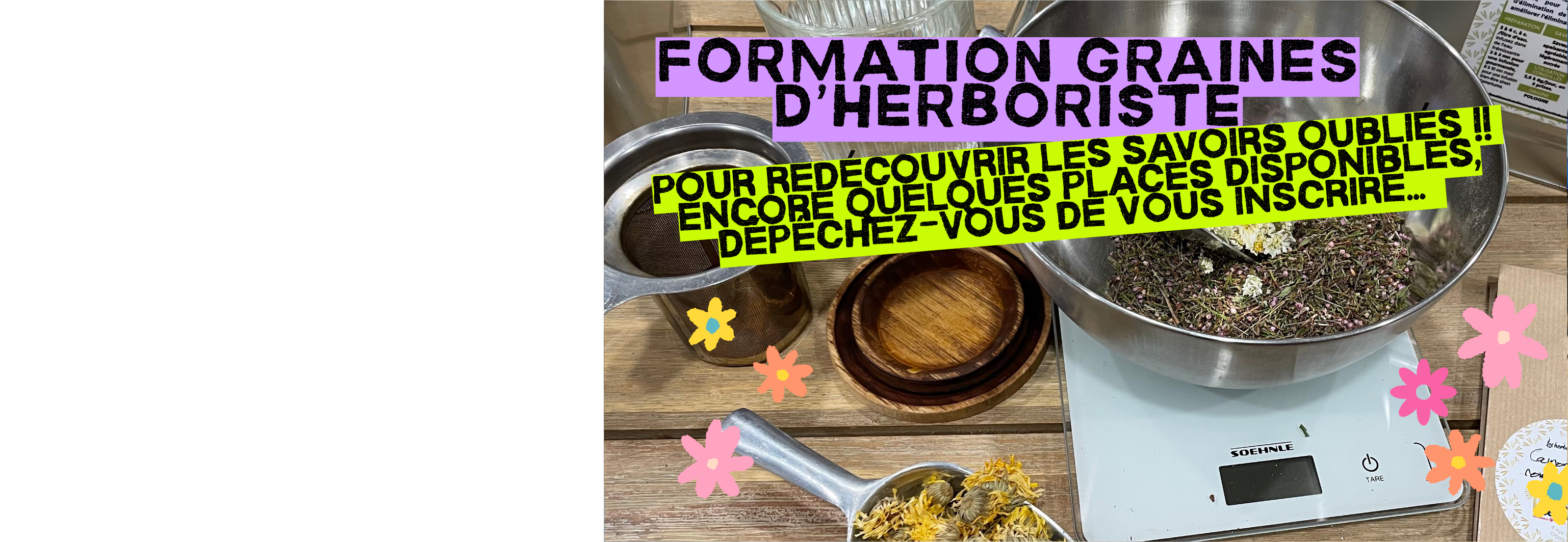 Formation
