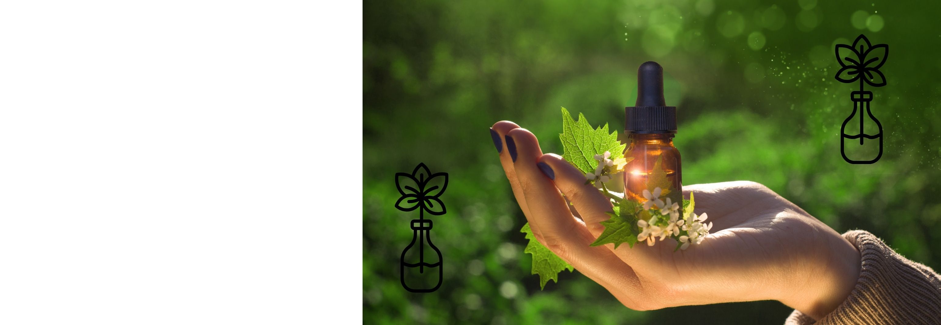 LES ÉLIXIRS FLORAUX