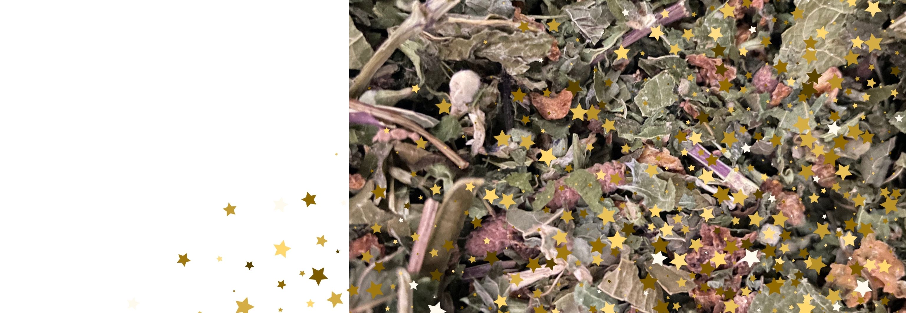 2026 : NOUVEAU CYCLE