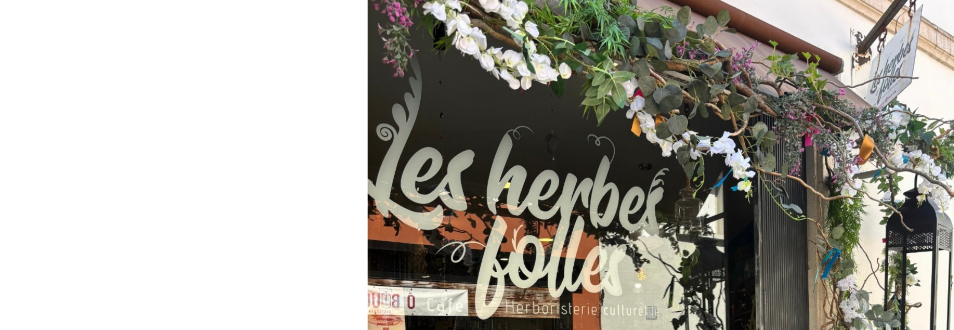 LES PLANTES À LA RESCOUSSE