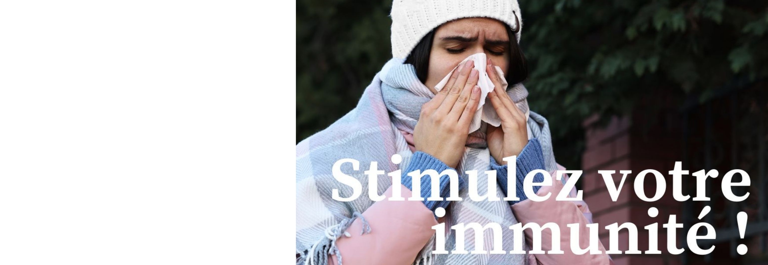 LES PLANTES À LA RESCOUSSE